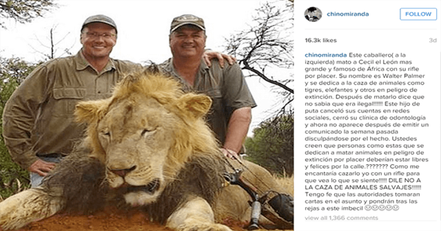 James Palmer, dentista que mató al león Cecil James Palmer, dentista que mató al león Cecil